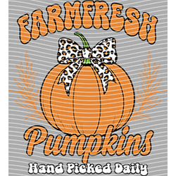 Halloween-WS 11203